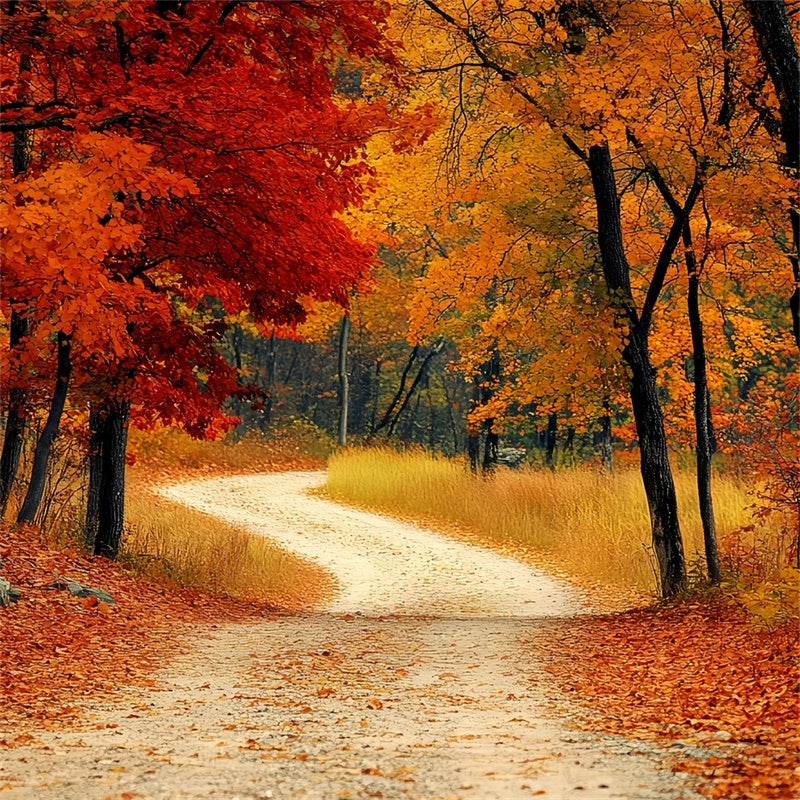 Forest Backdrops Rustic Redwoods Path Fall Leaves Backdrop UK CSH6-193