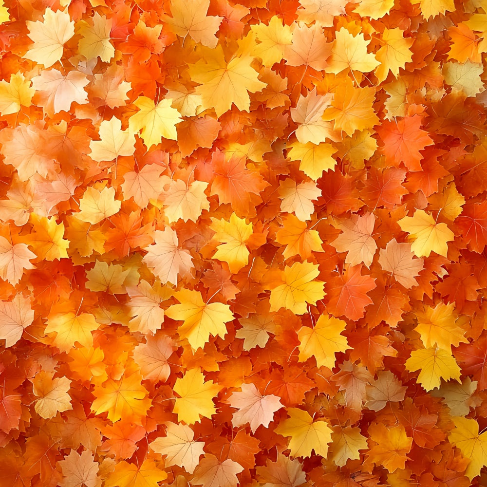 Autumn Leaves Backdrop Golden Leaves Rustic Backdrop UK CSH6-201