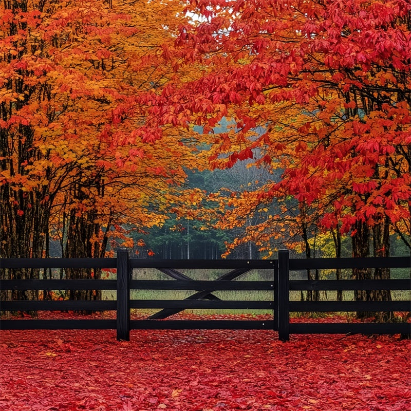 Fall Forest Backdrop Scarlet Forest Entry Backdrop UK CSH6-220