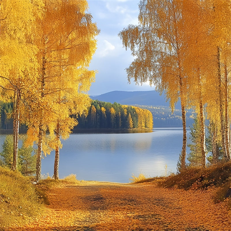 Forest Backdrops Golden Birch Lake Fall Photo Backdrops UK CSH6-221
