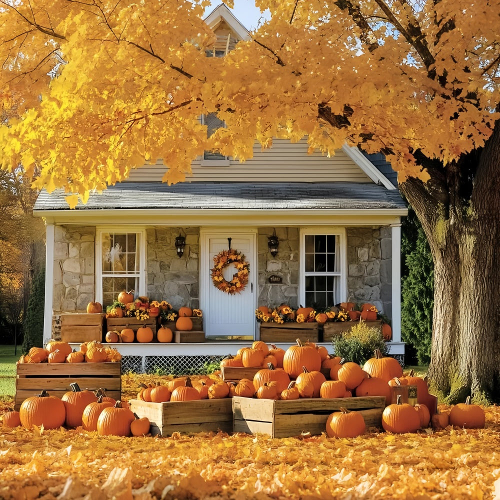 Fall Backdrop For Pictures Golden Tree Cottage Backdrop UK CSH6-222