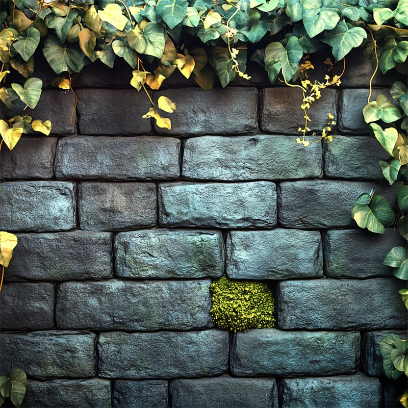 Halloween Wall Backdrop Ivy Garden Stone Wall Backdrop UK CSH6-92