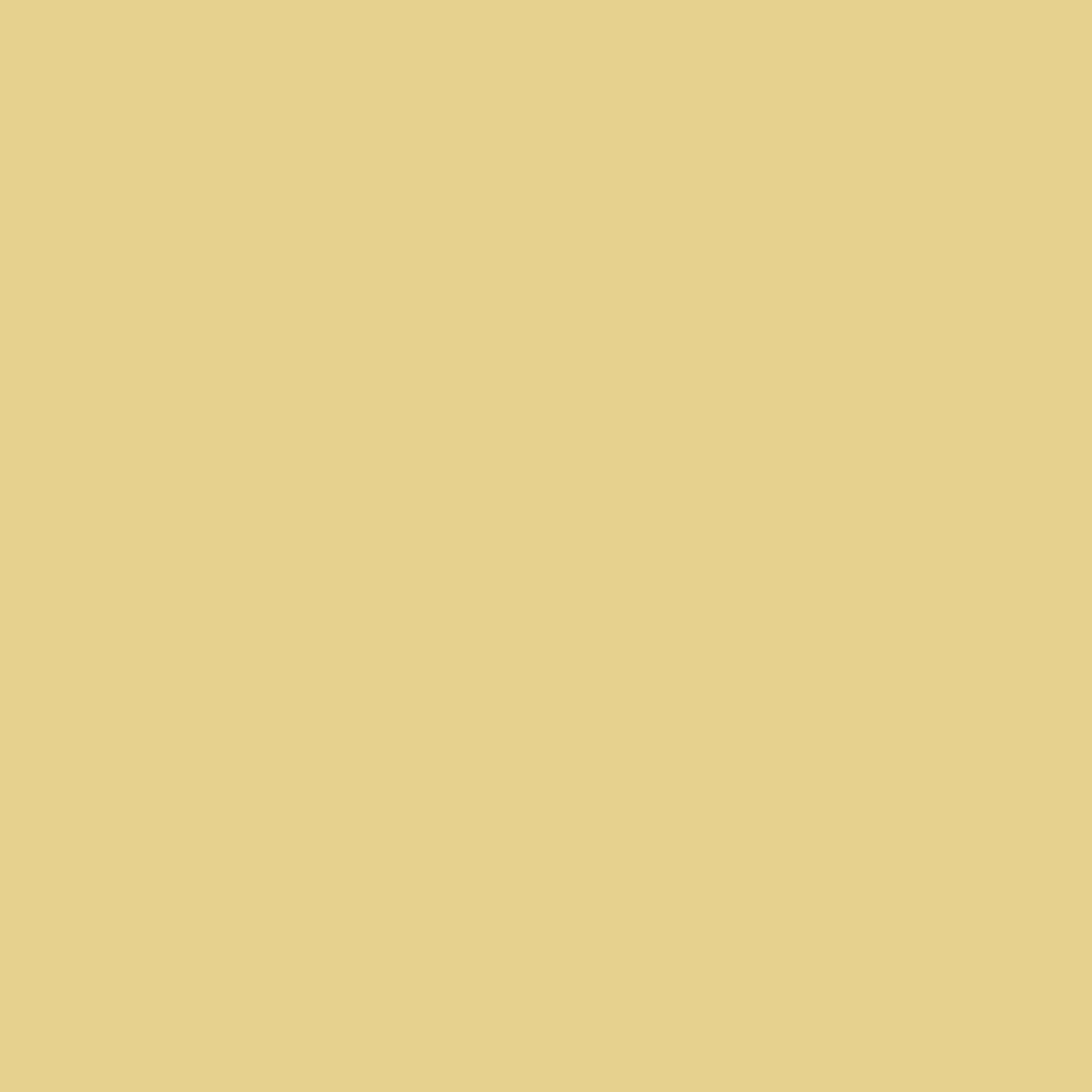 Yellow Photo Backdrop Soft Vanilla Yellow Warm Solid Color Backdrop UK CSH62-22