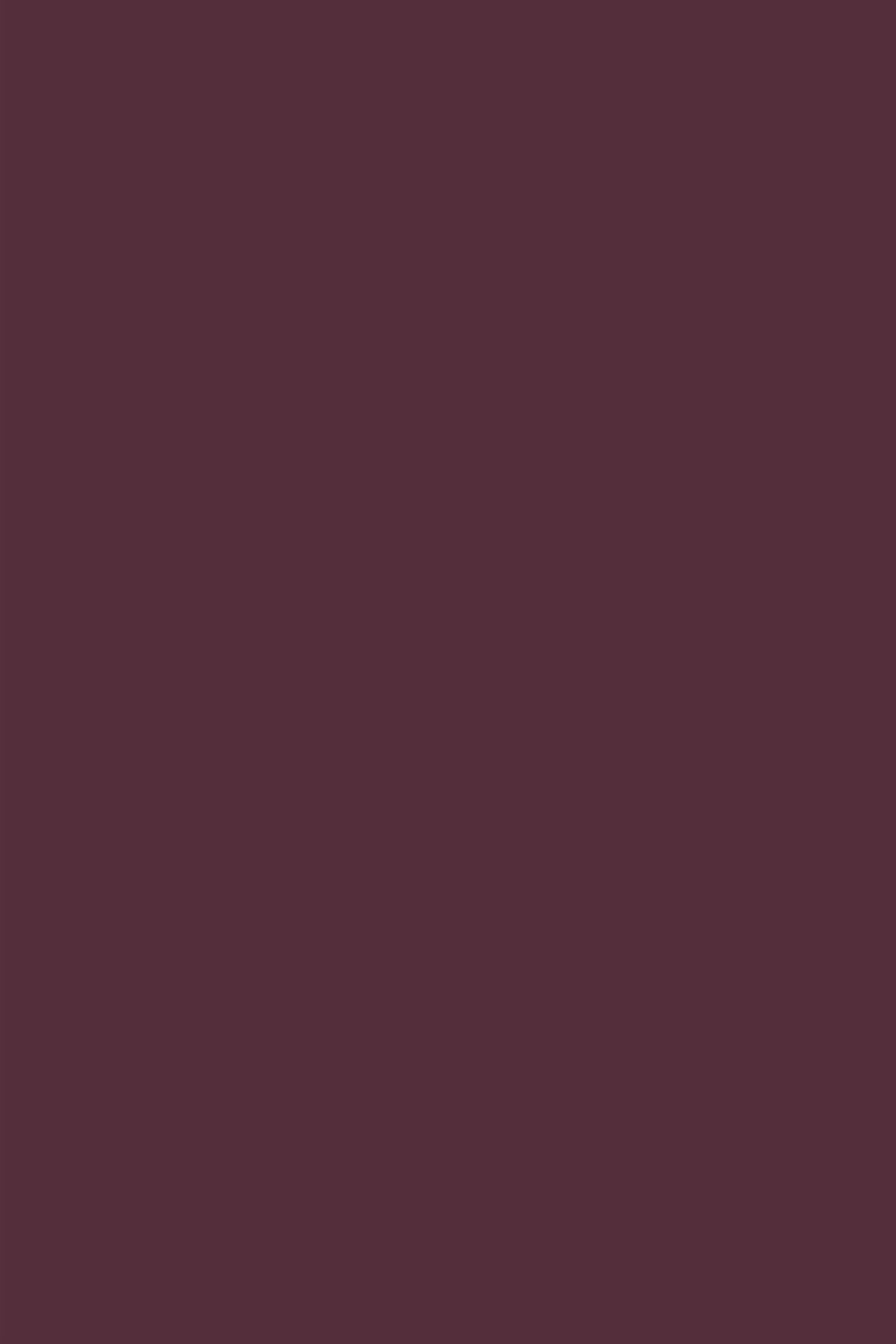 Red Photography Backdrop Deep Burgundy Wine Gradient Finish Solid Backdrop UK CSH62-26