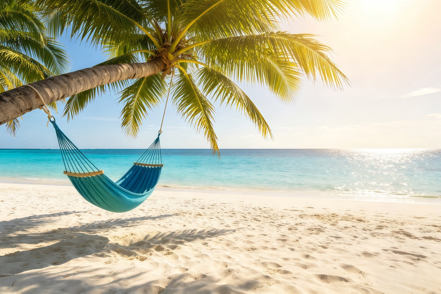 Beach Backdrop Sunny Palm Hammock Sea Escape Summer Backdrops UK CSH64-89