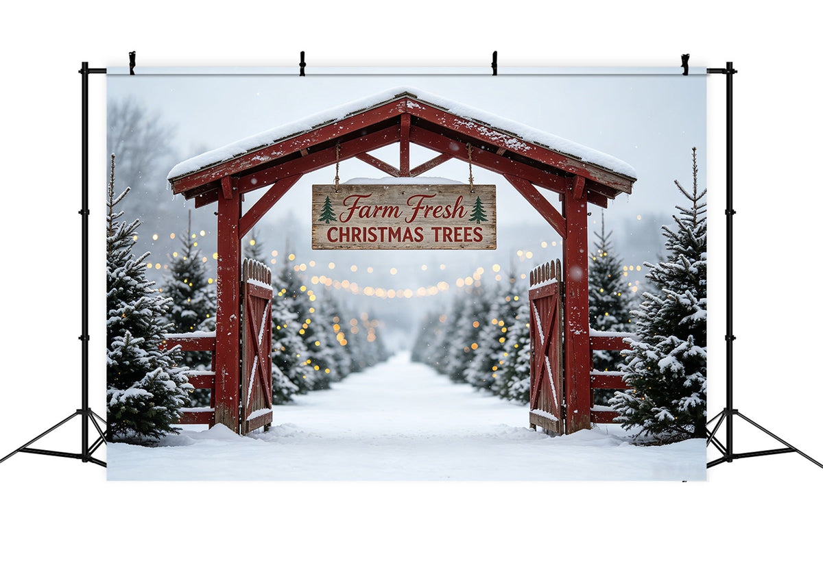 Christmas Tree Farm Backdrop Snowy Tree Farm Gate Photo Christmas Backdrop UK CSH69-48