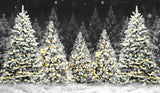 Christmas Night Forest Snow Photography Backdrop D893