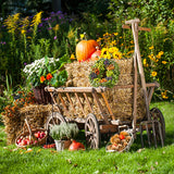 Festival Backdrop UK Halloween Farm Background Harvest Season DBD-19066