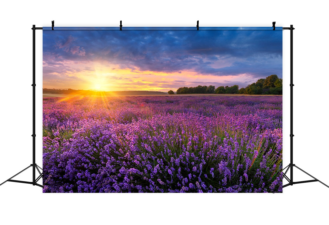 Lavender Photo Backdrop Twilight Purple Meadow Backdrop UK GQ4-24