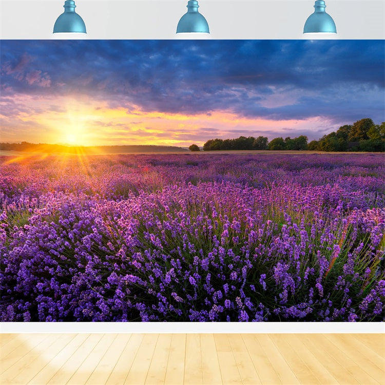 Lavender Photo Backdrop Twilight Purple Meadow Backdrop UK GQ4-24