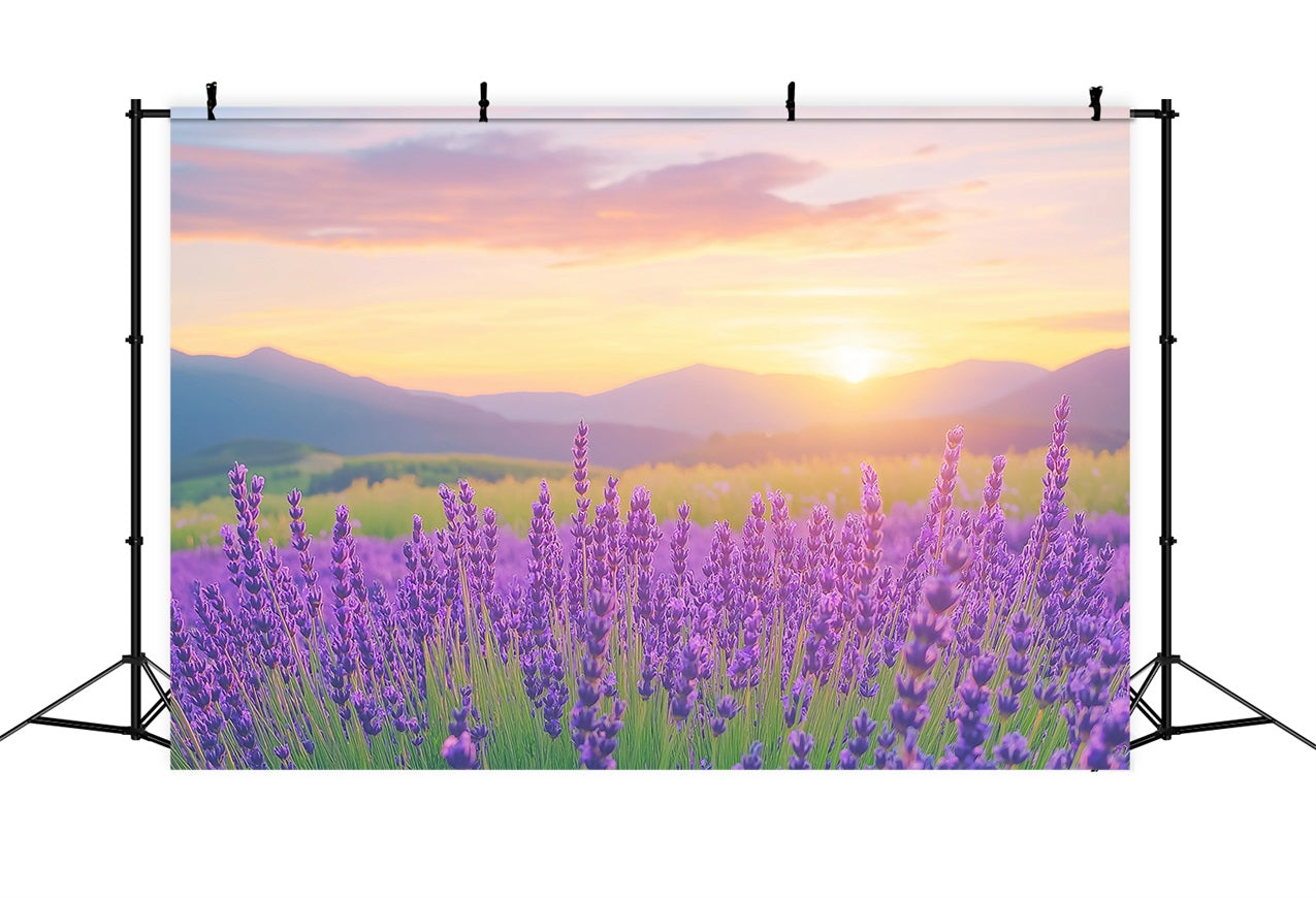 Purple Flower Backdrop Lavender Sunset Field Photography Backdrop UK GQ4-27