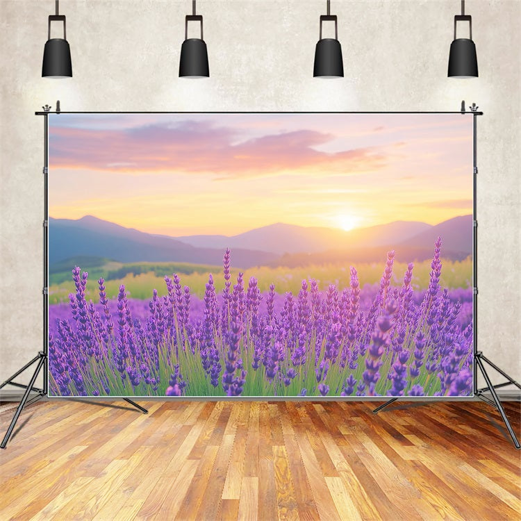 Purple Flower Backdrop Lavender Sunset Field Photography Backdrop UK GQ4-27