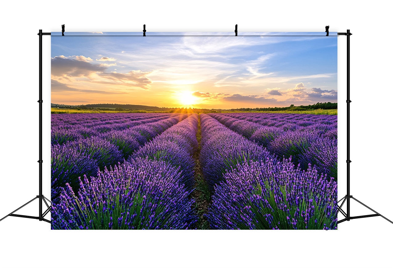 Purple Flowers Backdrop Blooming Lavender Horizon Photo Backdrop UK GQ4-29