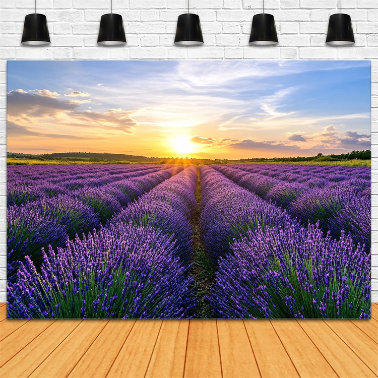 Purple Flowers Backdrop Blooming Lavender Horizon Photo Backdrop UK GQ4-29
