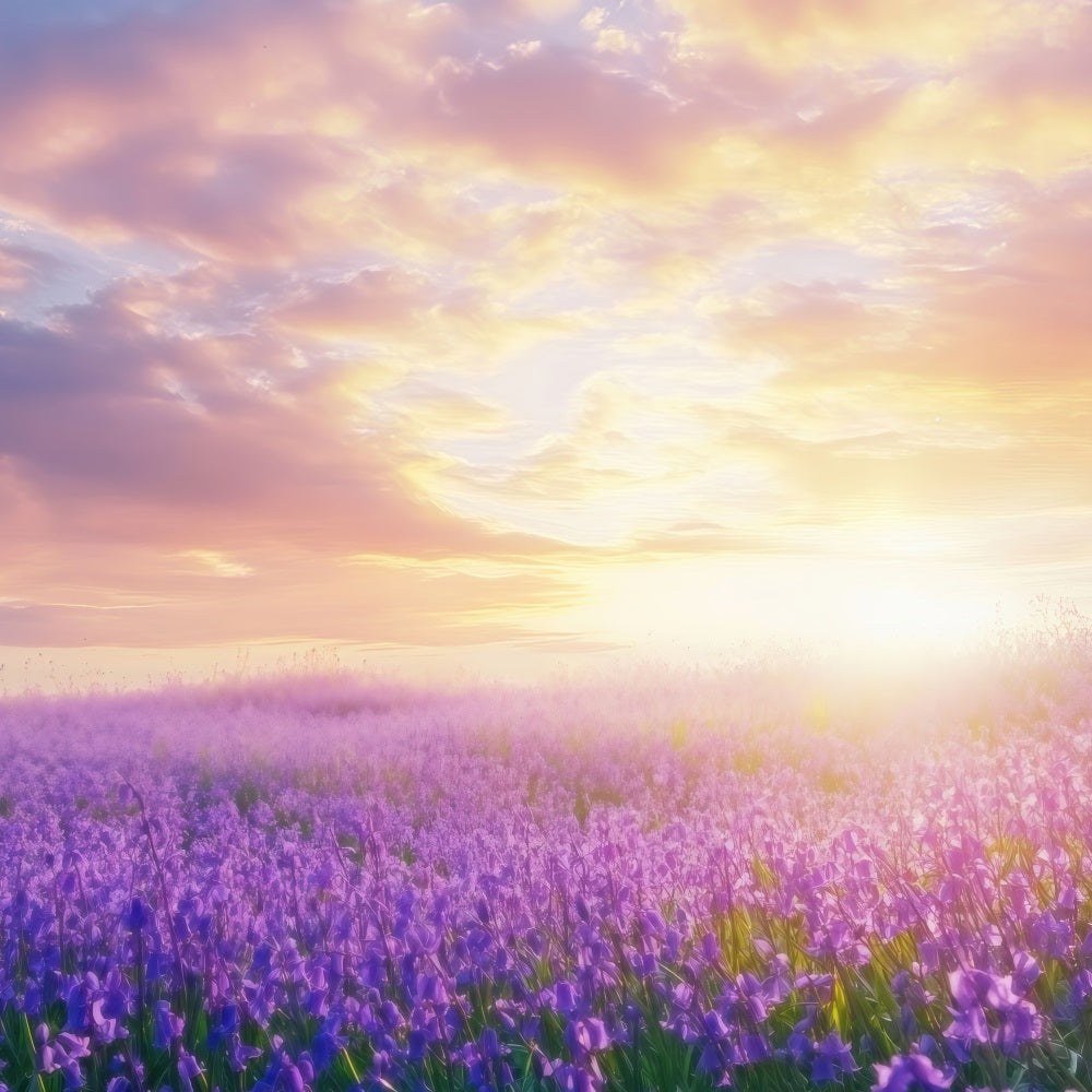 Lavender Backdrops Dreamscape Sunrise Photography Backdrop UK GQ4-31