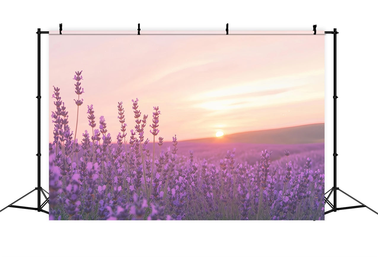 Lavender Photo Backdrop Sunset Floral Field Backdrop UK GQ4-32