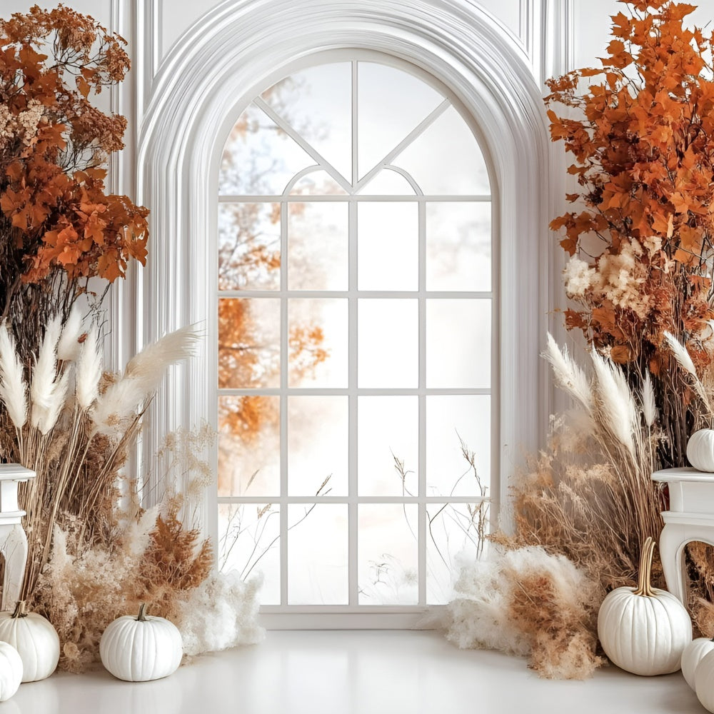 Autumn Backdrop Elegant White Pumpkin Window Backdrop UK GQ5-85