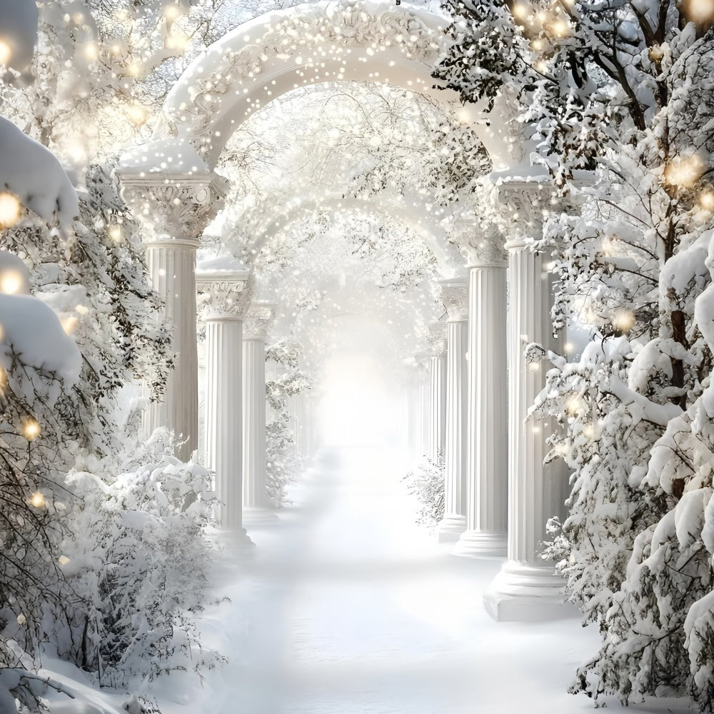 Winter Backdrop Royal Snow Arch Corridor Backdrop UK GQ57-177