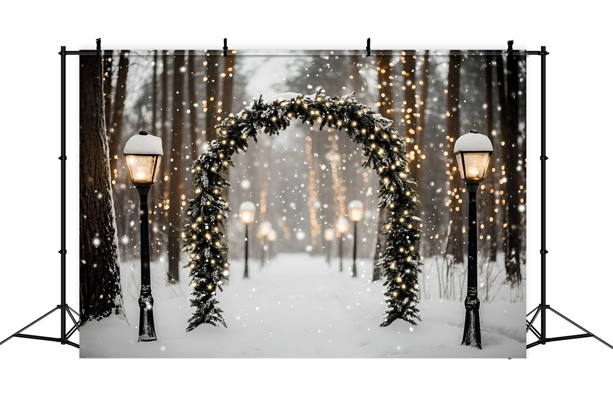Winter Forest Backdrop Magic Lantern Snow Path Backdrop UK GQ57-72