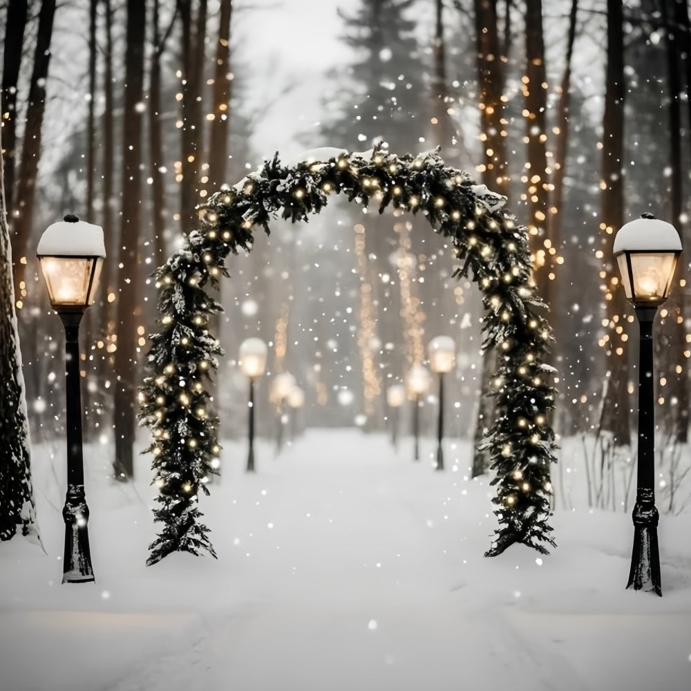 Winter Forest Backdrop Magic Lantern Snow Path Backdrop UK GQ57-72