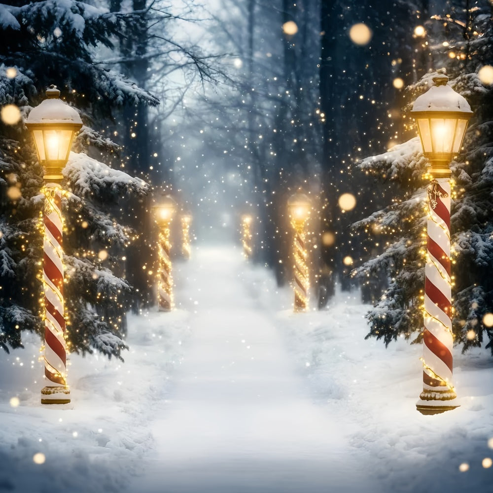 Snow Forest Backdrop Holiday Magic Forest Backdrop UK GQ57-73