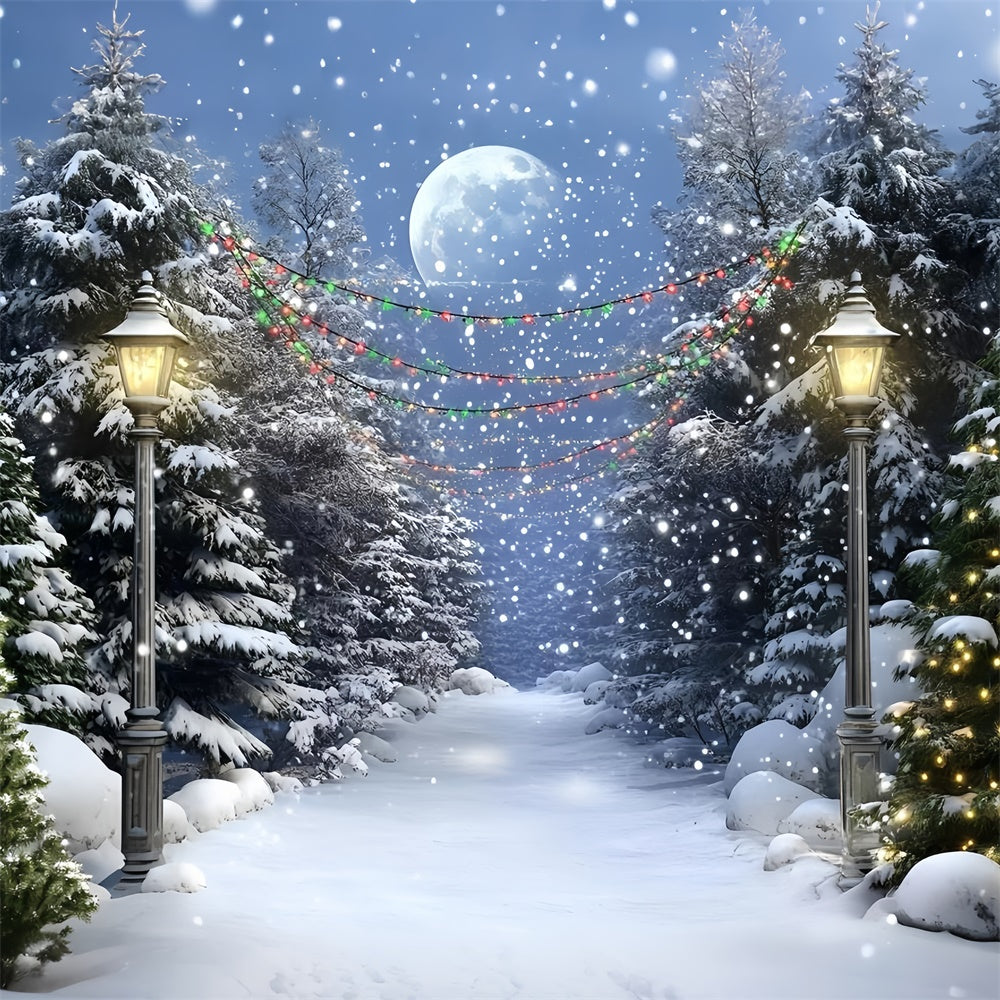 Night Forest Backdrop Full Moon Winter Trail Backdrop UK GQ57-74