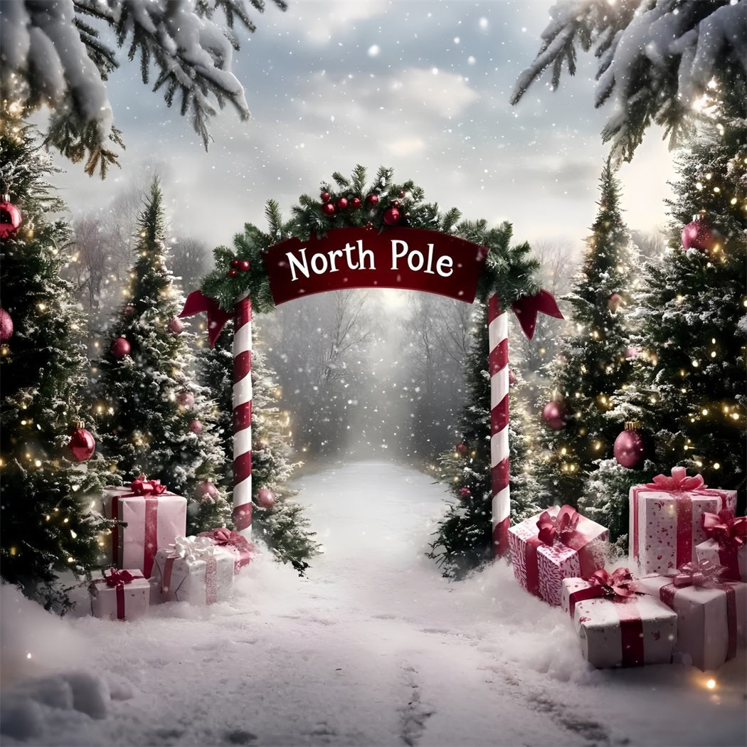 North Pole Backdrop North Pole Candy Cane Gift Path Professional Christmas Backdrops UK GQ58-51