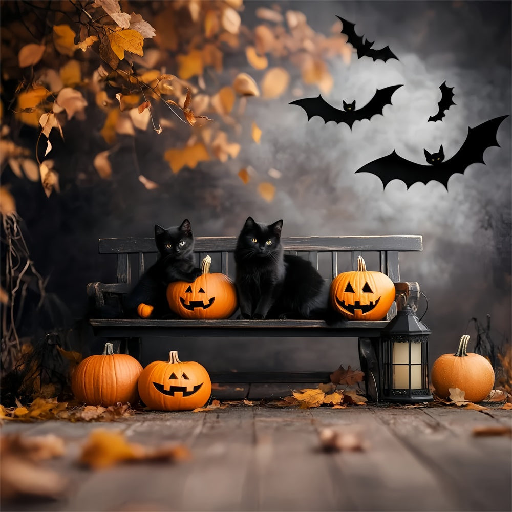 Scary Halloween Backdrops Black Cat Pumpkin Bench Backdrop UK GQ6-234