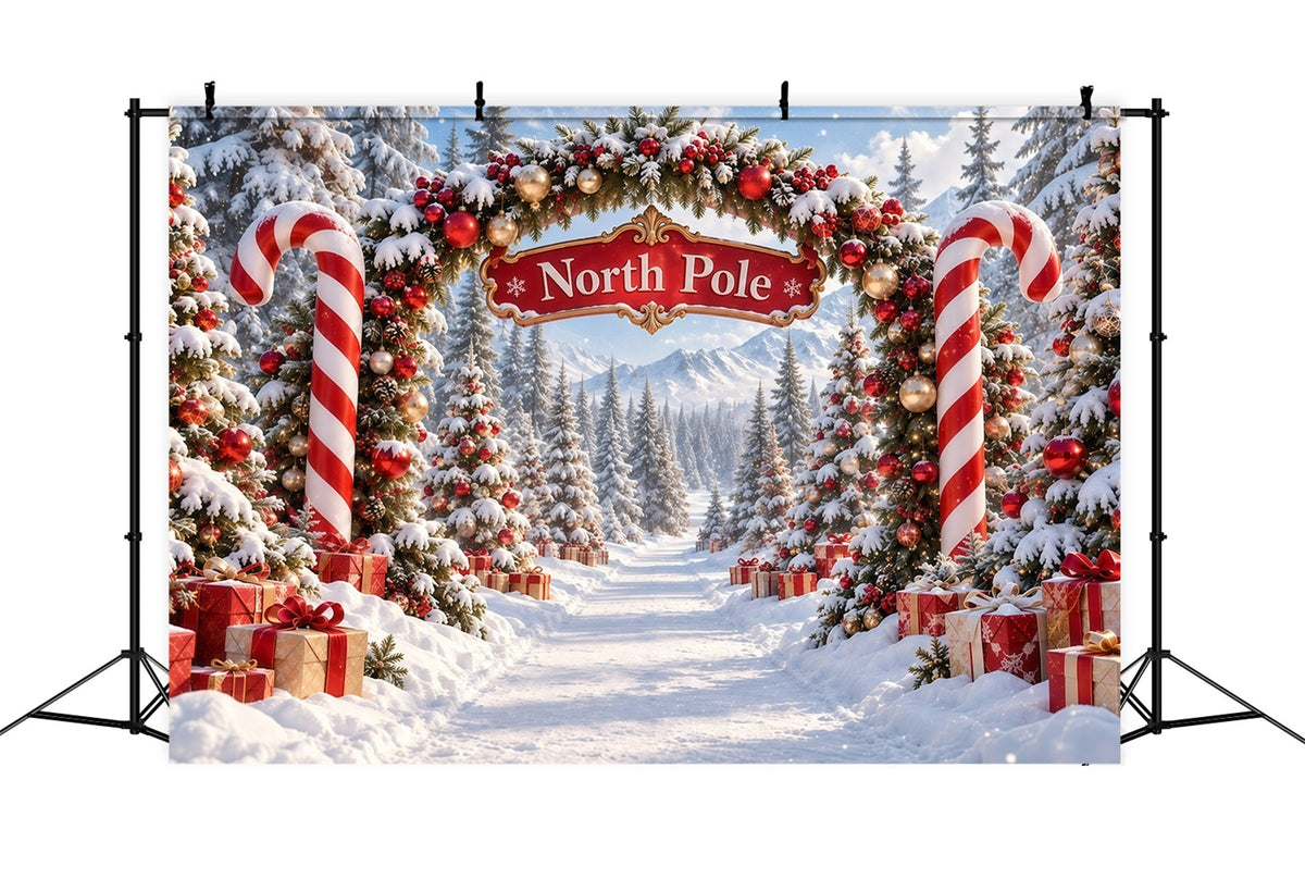 North Pole Photo Backdrop Candy Cane Ornament Archway Christmas Winter Backdrop UK GQ610-122