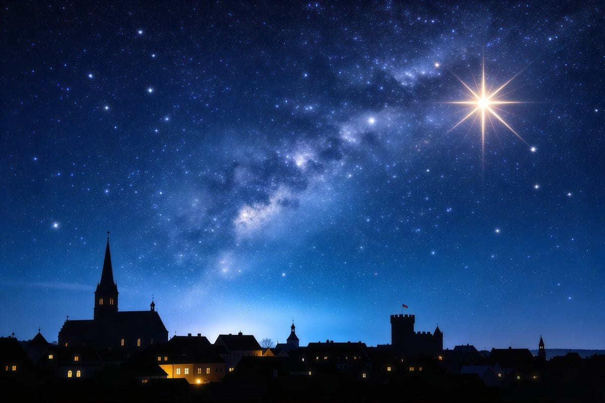 Nativity Scene Backdrop Radiant Star Village Skyline Christmas Photo Backdrop Ideas UK GQ610-38
