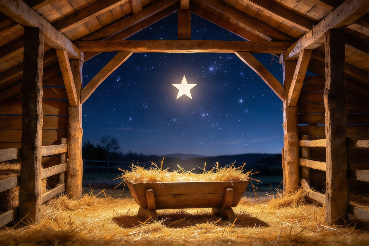 Nativity Scene Backdrop Starry Night Manger Stable Manger Scene Backdrop UK GQ610-61