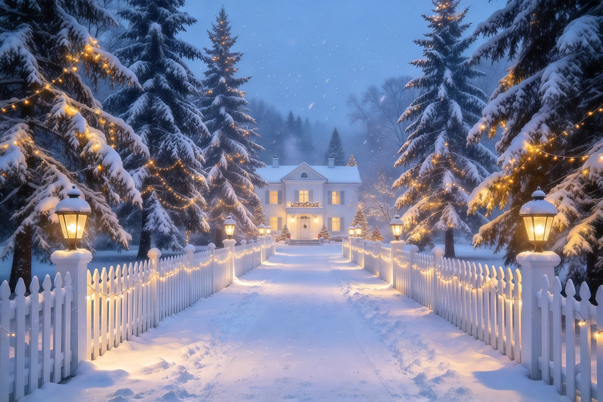 Christmas Lights Photo Backdrop Snowy Lantern Picket Path Christmas Photobooth Backdrop UK GQ610-72