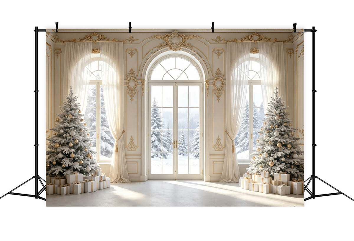Elegant Christmas Backdrop Vintage Snowy Window View Christmas Backdrops UK GQ68-79