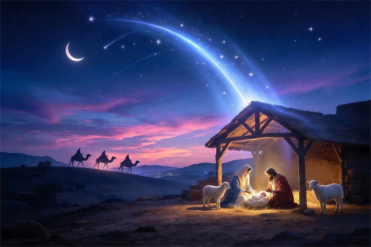 Nativity Scene Backdrop For Play Starlit Moon Desert Night Bethlehem Backdrops UK GQ69-91