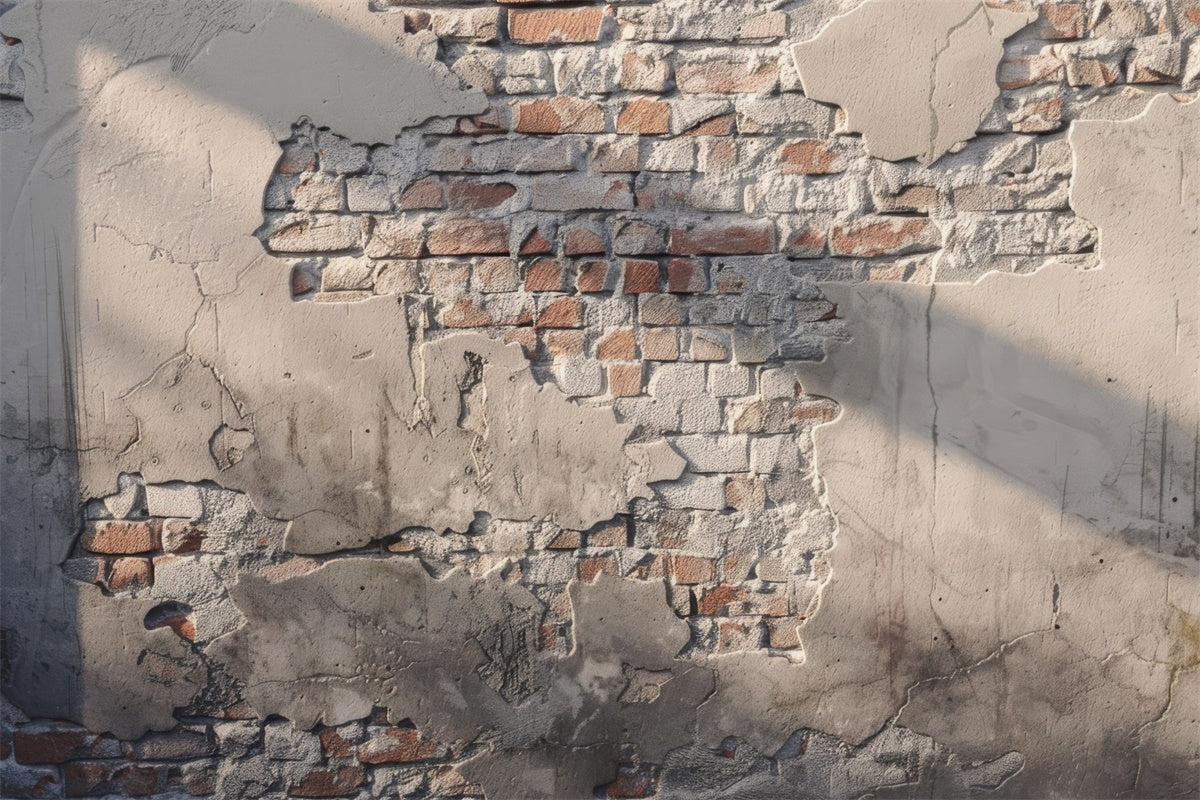 School Portrait Backdrops Rustic Aged Brick Texture Backdrop UK GTY3-102