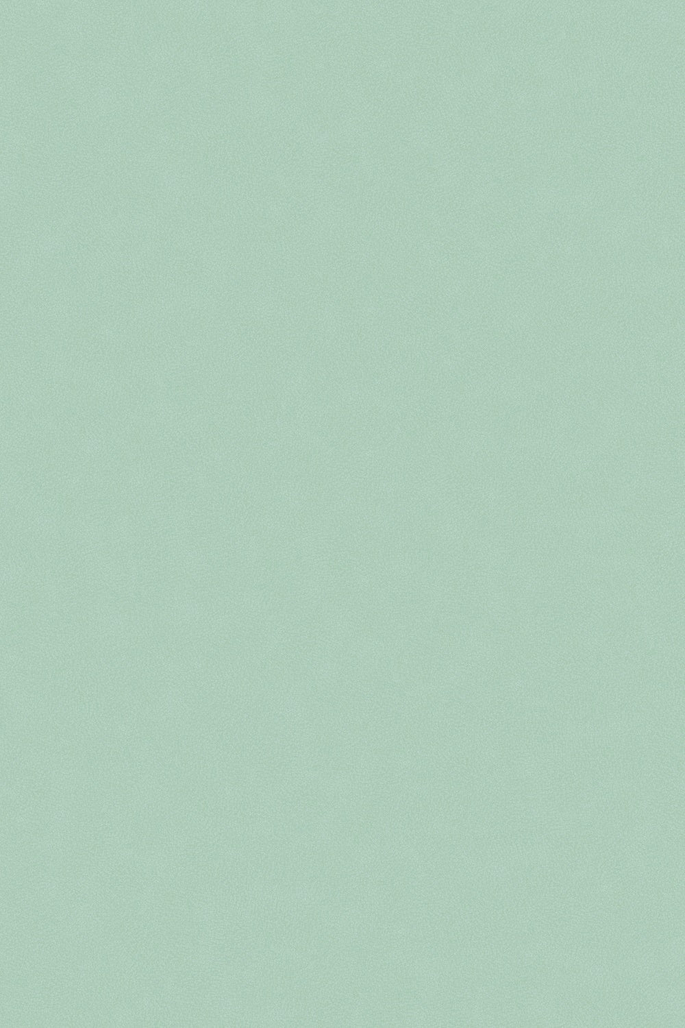 Light Green Backdrop Soft Mint Pastel Texture Backdrop UK GTY3-105
