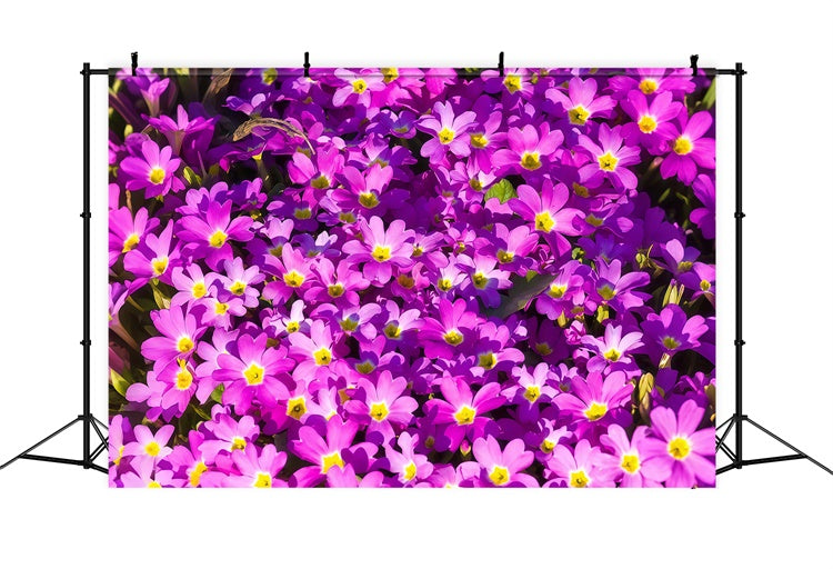 Purple Floral Backdrop Vibrant Wildflower Bloom Backdrop UK GTY3-30