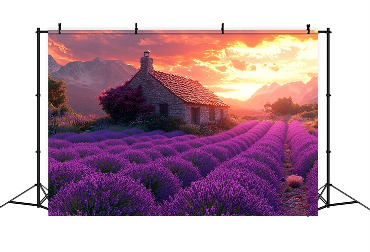 Purple Flower Backdrop Lavender Sunset Cottage Dream Backdrop UK GTY3-31