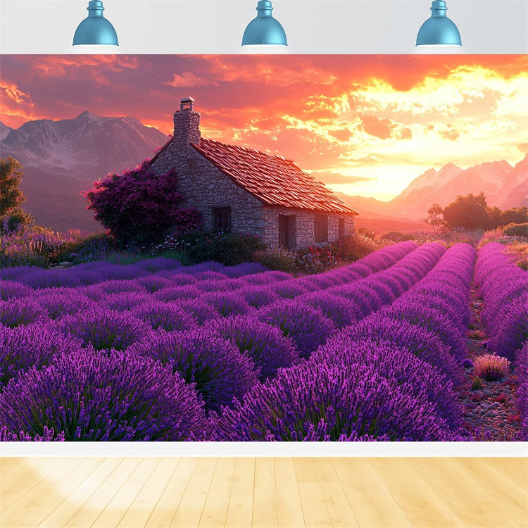 Purple Flower Backdrop Lavender Sunset Cottage Dream Backdrop UK GTY3-31