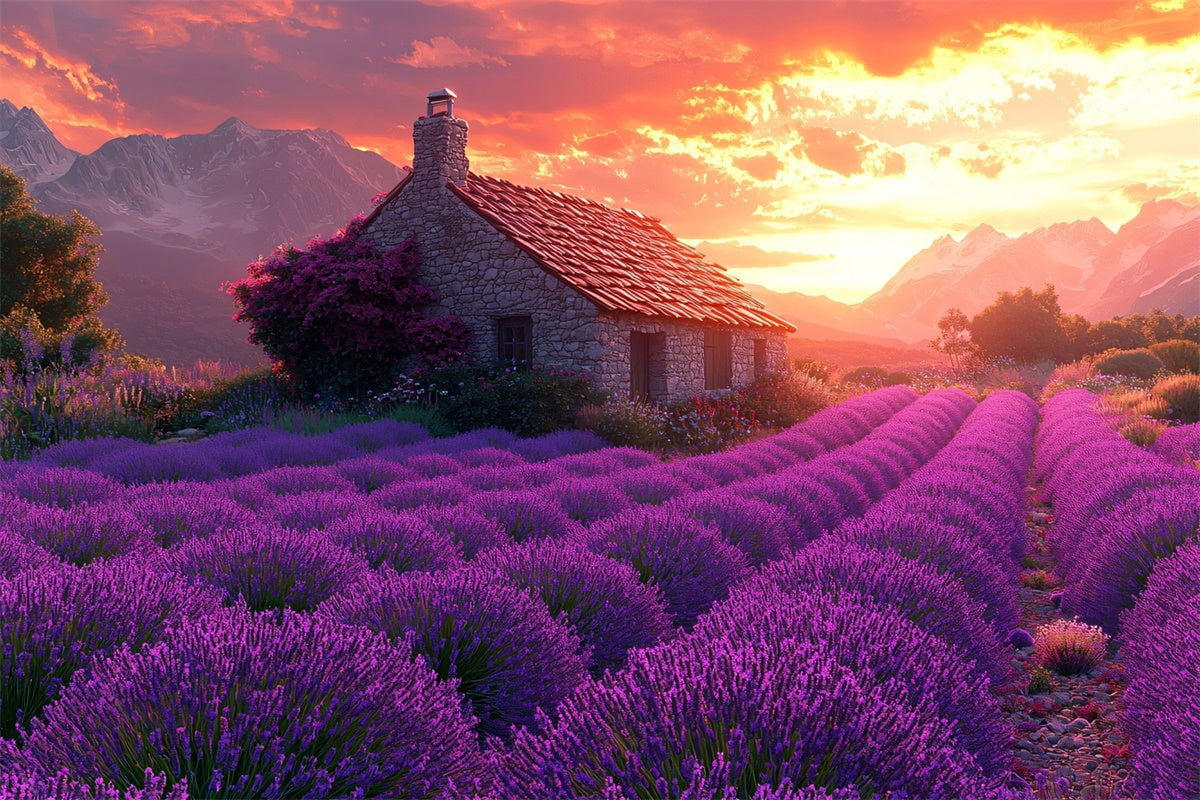 Purple Flower Backdrop Lavender Sunset Cottage Dream Backdrop UK GTY3-31