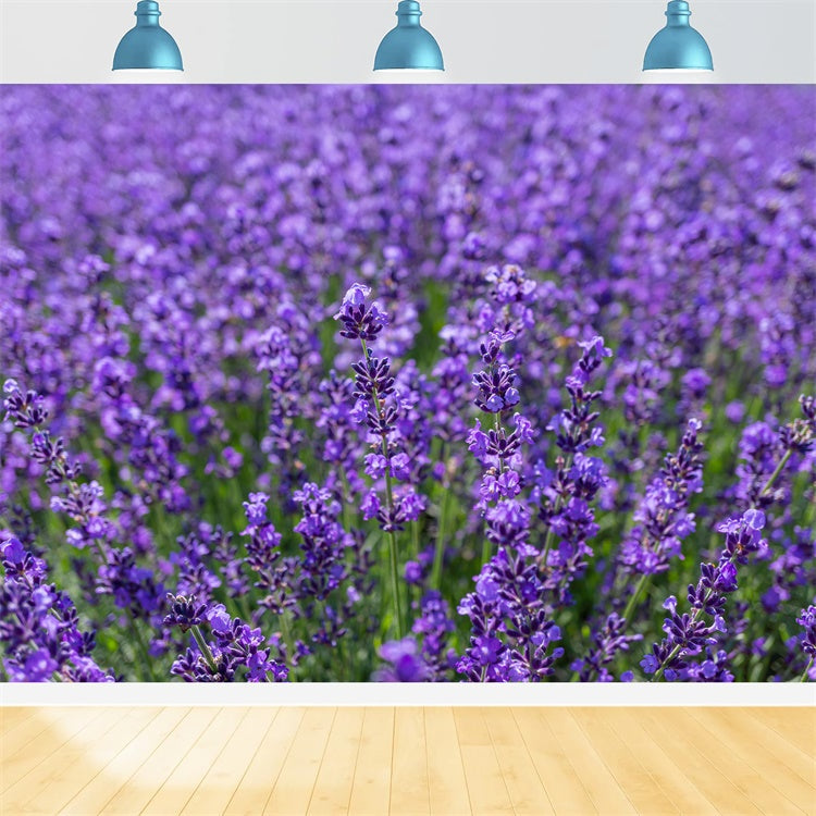 Flower Photo Backdrop Enchanting Lavender Expanse Backdrop UK GTY3-33