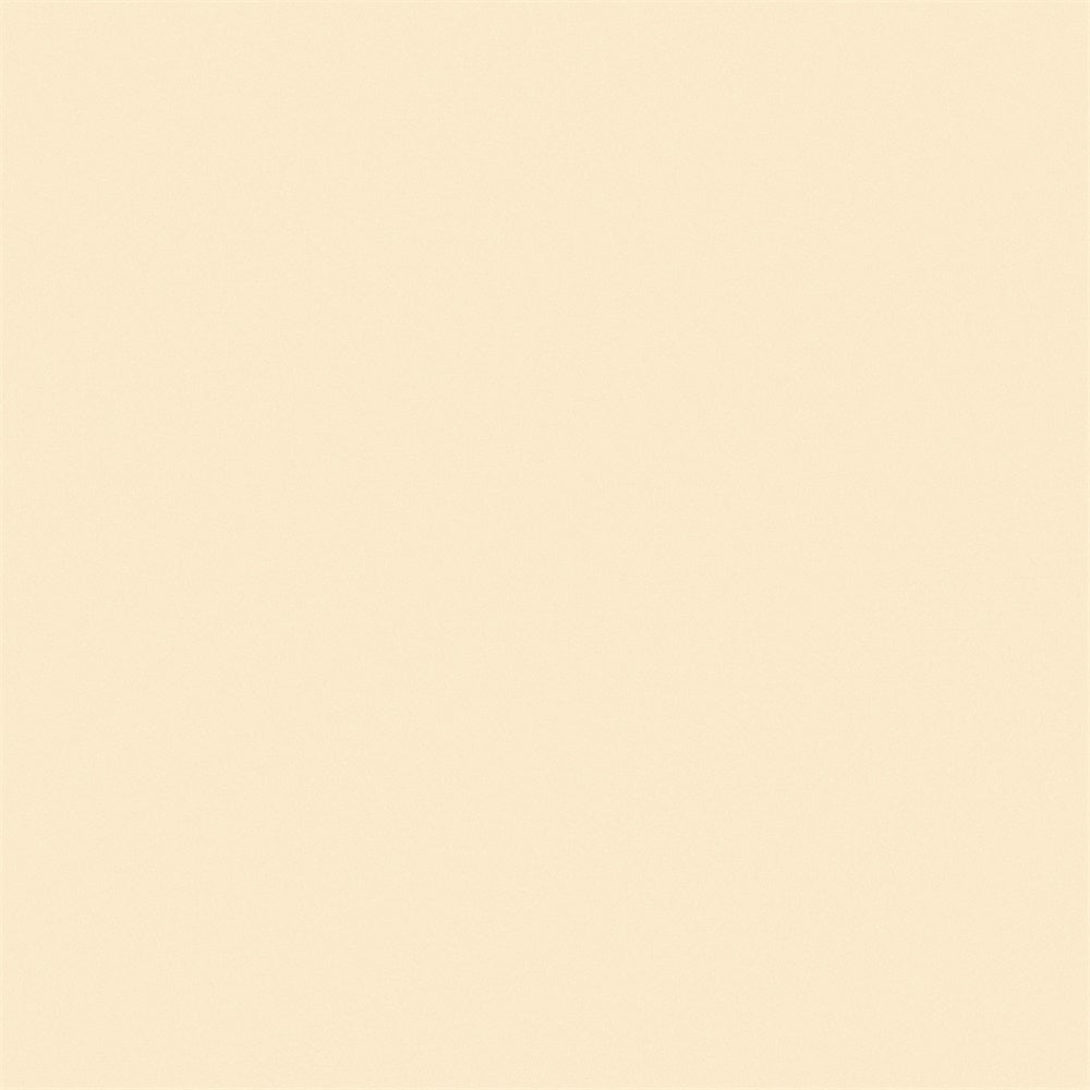 School Photo Backdrop Beige Cream Studio Backdrop UK GTY3-332