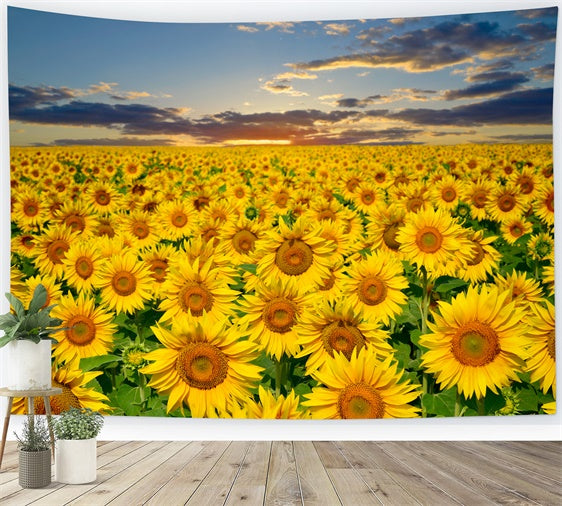 Sunflower Backdrops Golden Sunflower Sunset Field Summer Backdrop UK GTY3-381