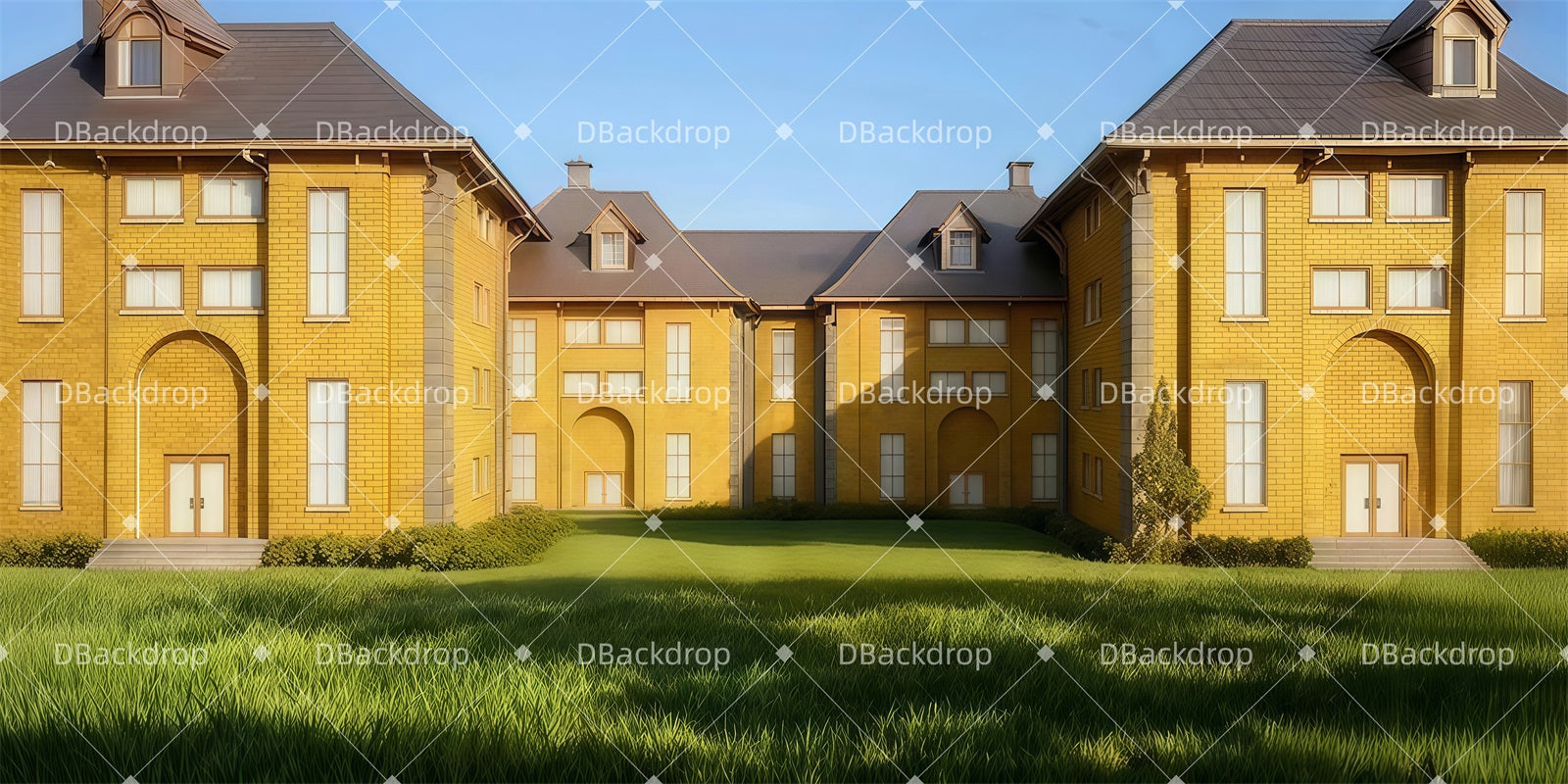 Large Stage Backdrops Morning Campus View Theater Backdrop UK LXX511-T71