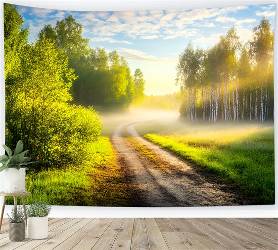 Forest Backdrop Photography Morning Glow Pathway Backdrop UK LXX57-145
