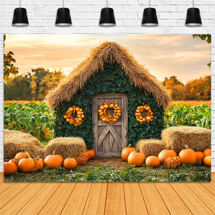 Autumn Photo Backdrop Pumpkin Patch Cottage Backdrop UK LXX57-154