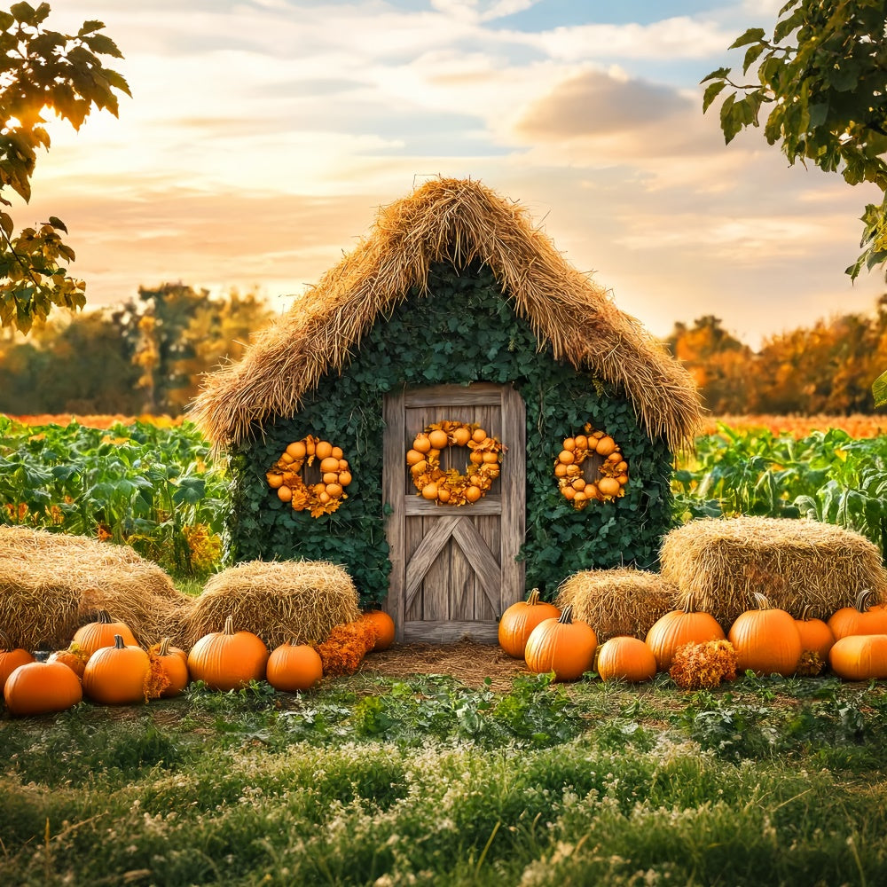 Autumn Photo Backdrop Pumpkin Patch Cottage Backdrop UK LXX57-154