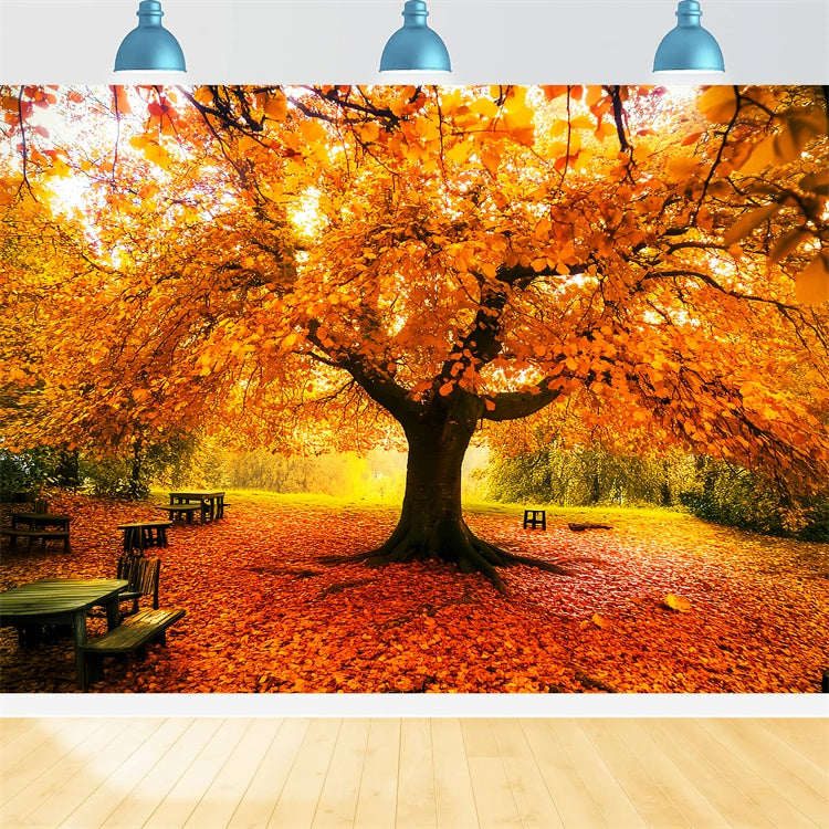 Autumn Leaves Backdrop Fall Canopy Backdrop Backdrop UK LXX57-177