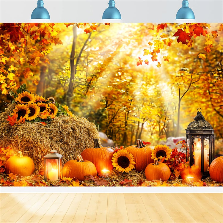 Fall Forest Backdrop Pumpkin Glow Forest Backdrop UK LXX57-178