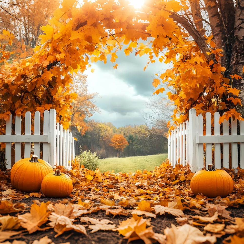 Fall Leaves Backdrop Pumpkin Grove Fence Backdrop UK LXX57-179